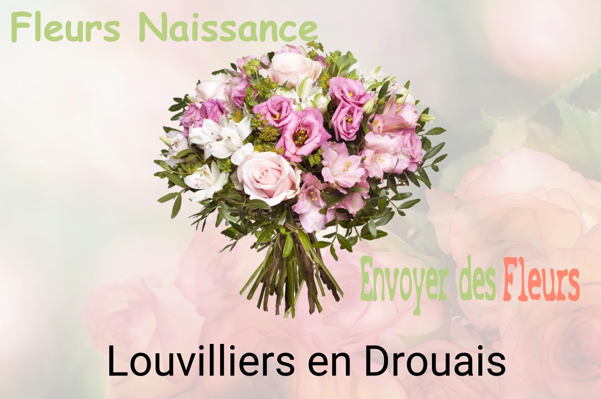 Bouquet de fleurs de naissance livré à Louvilliers-en-Drouais